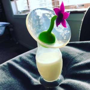 A haakaa is a silicone breast pump with suction base 