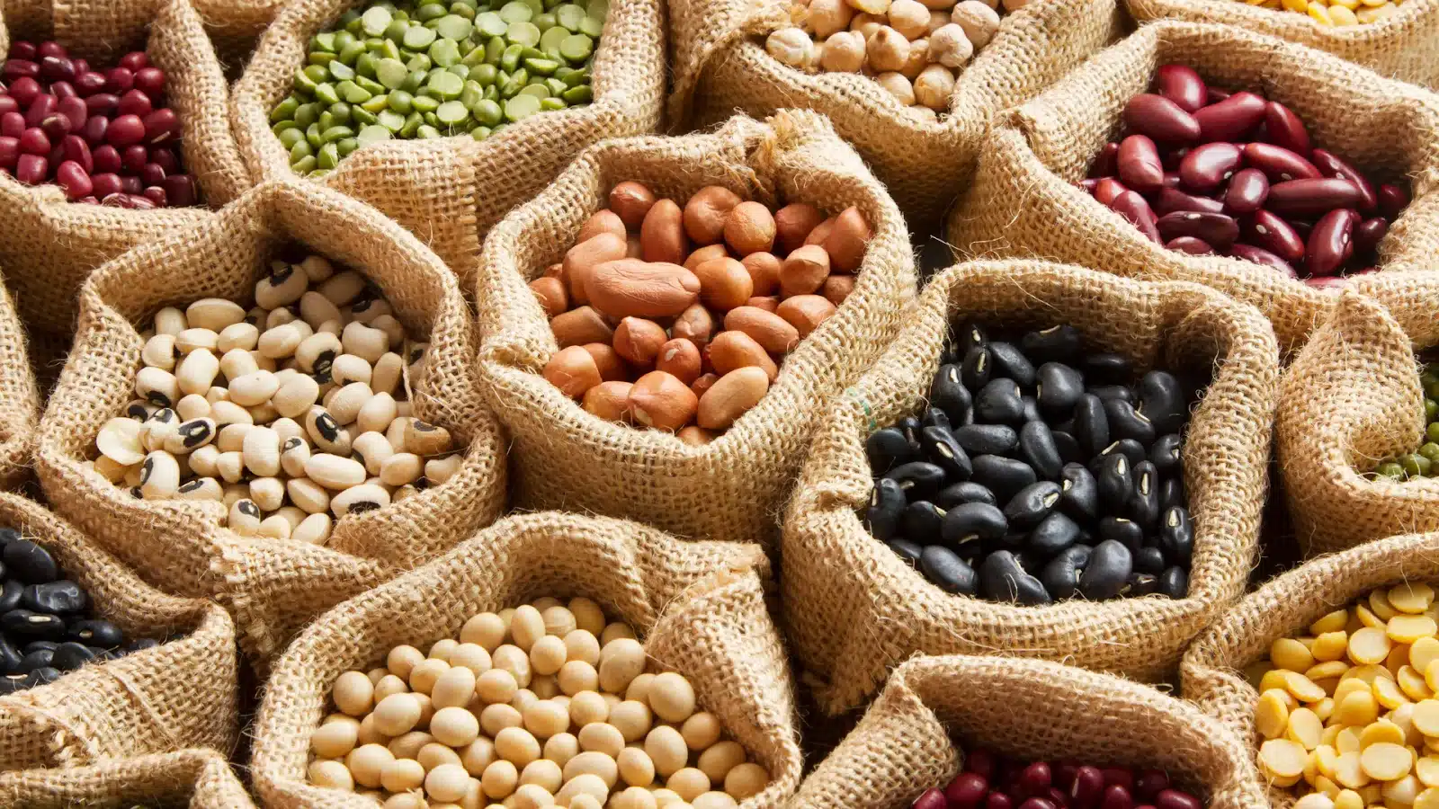 Legumes 