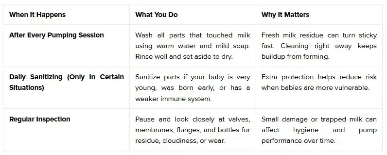 The Simple Daily and Weekly Pump Cleaning Routine Every Mom Needs