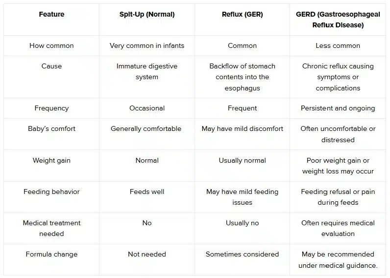Key Differences at a Glance