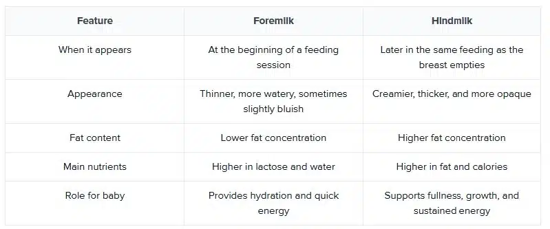 Why Hindmilk Matters for Your Baby
